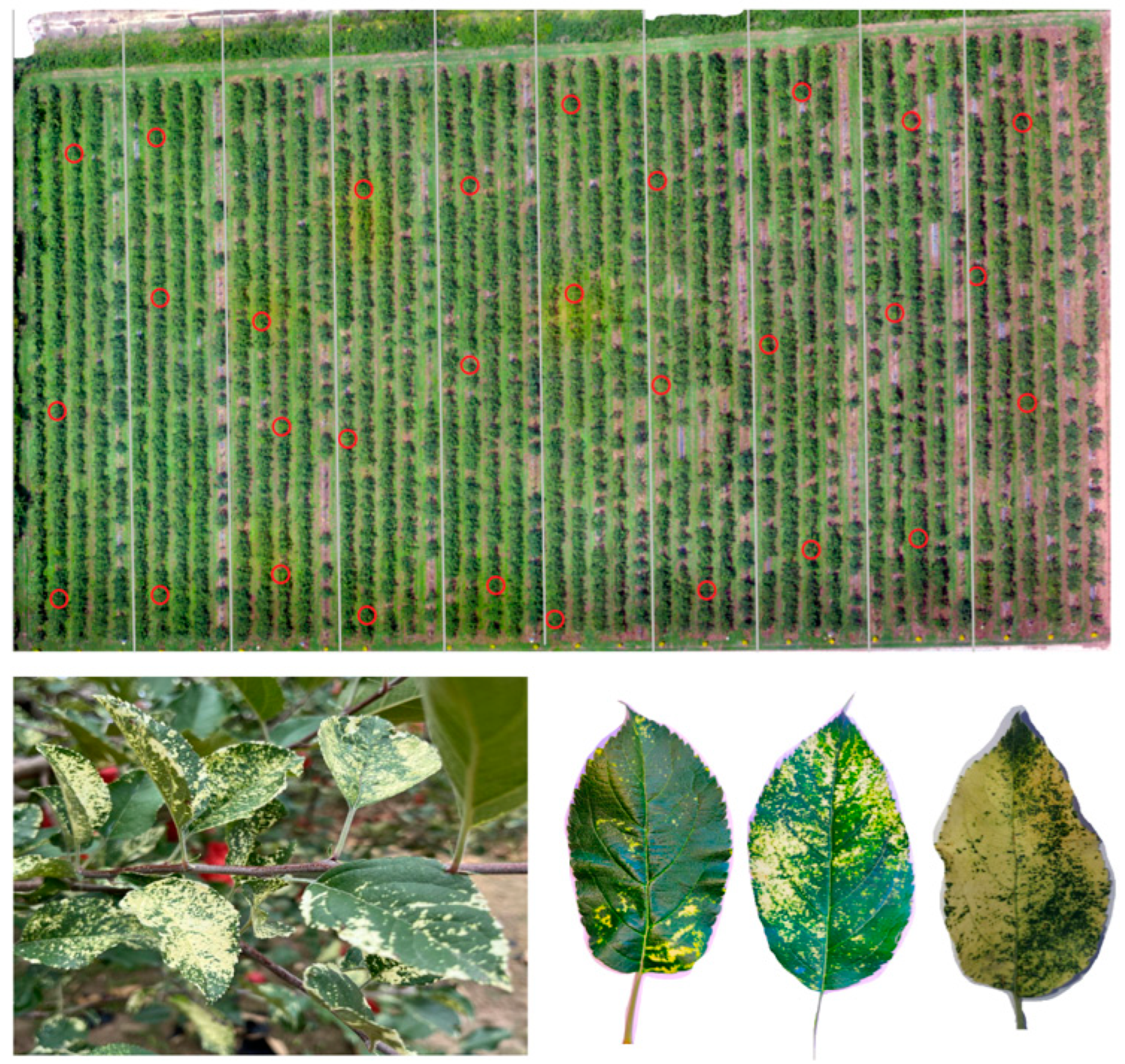 Remotesensing 15 01732 g002 Remotesensing 15 01732 g002