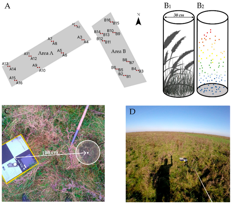 Remotesensing 15 01754 g004 Remotesensing 15 01754 g004