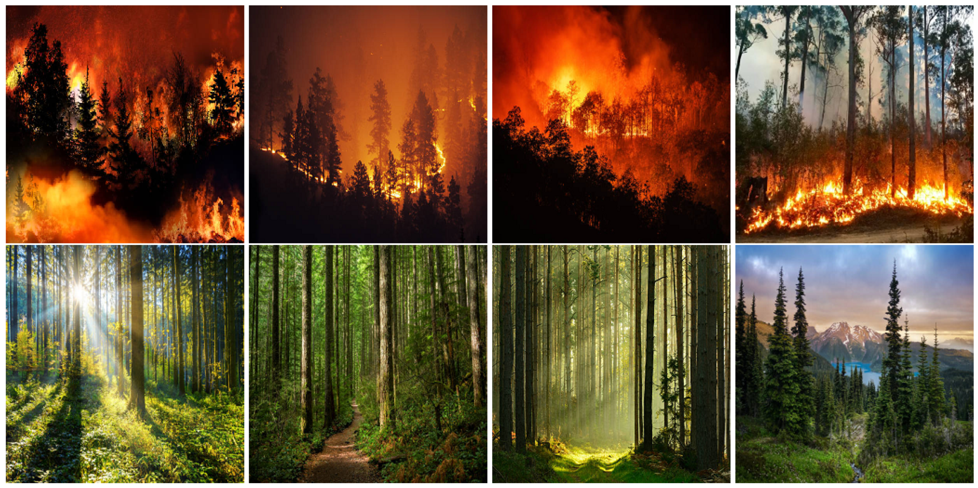 Remotesensing 15 01821 g014