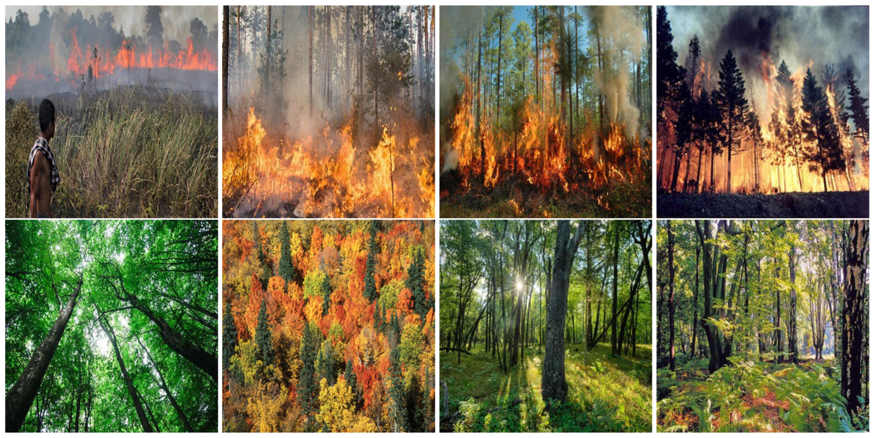 Remotesensing 15 01821 g016