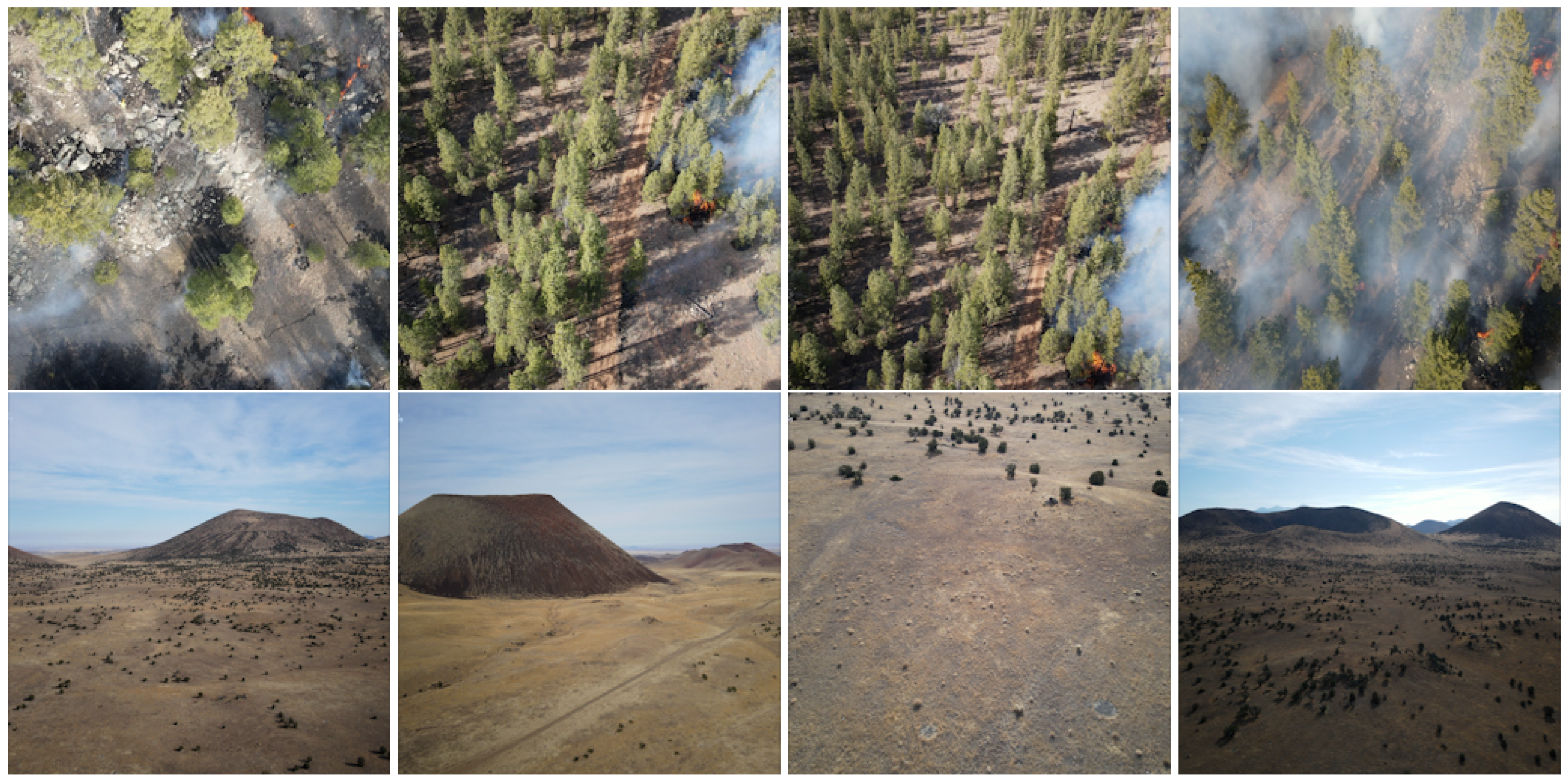 Remotesensing 15 01821 g017