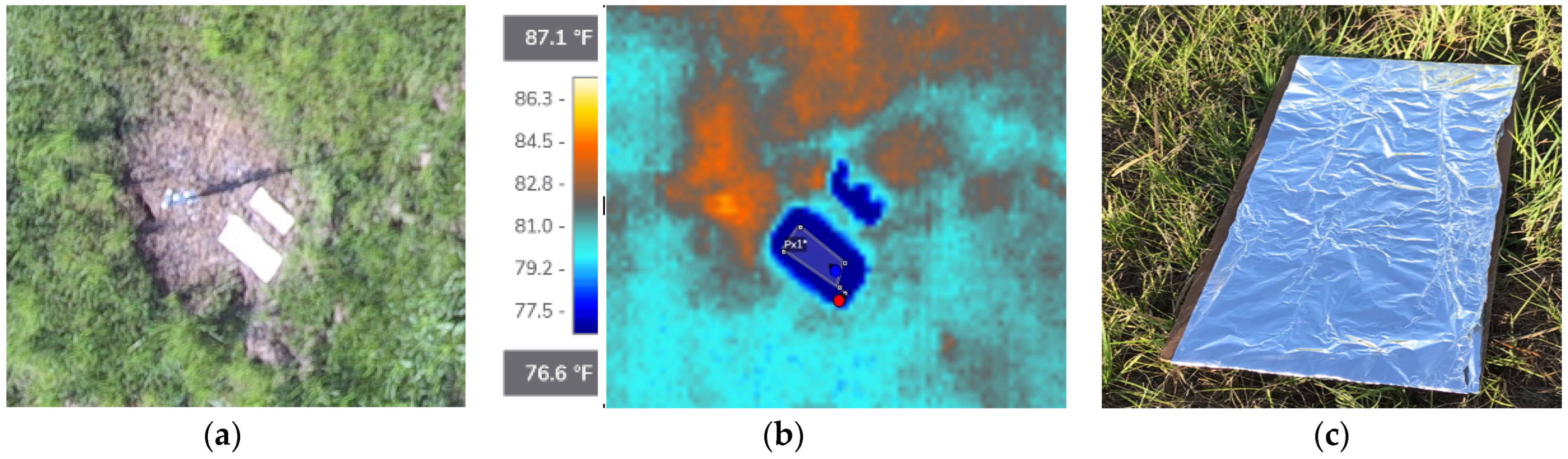 Remotesensing 15 01888 g010
