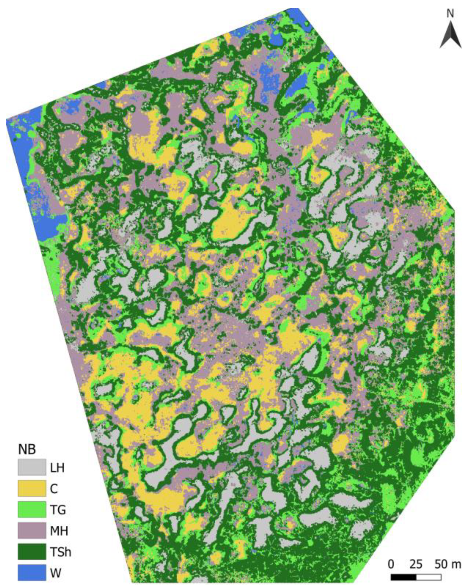 Remotesensing 15 01896 g006