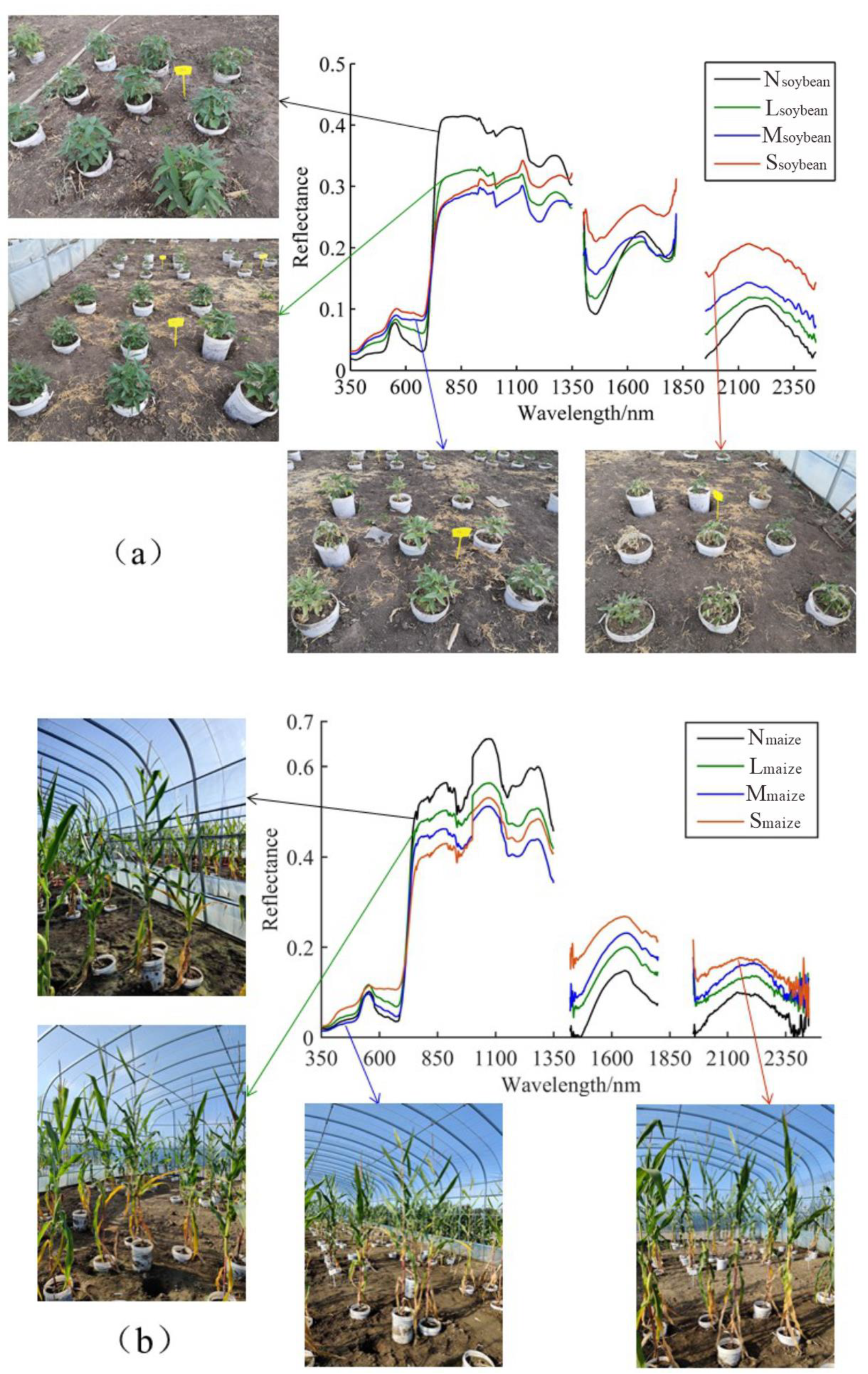 Remotesensing 15 01915 g004
