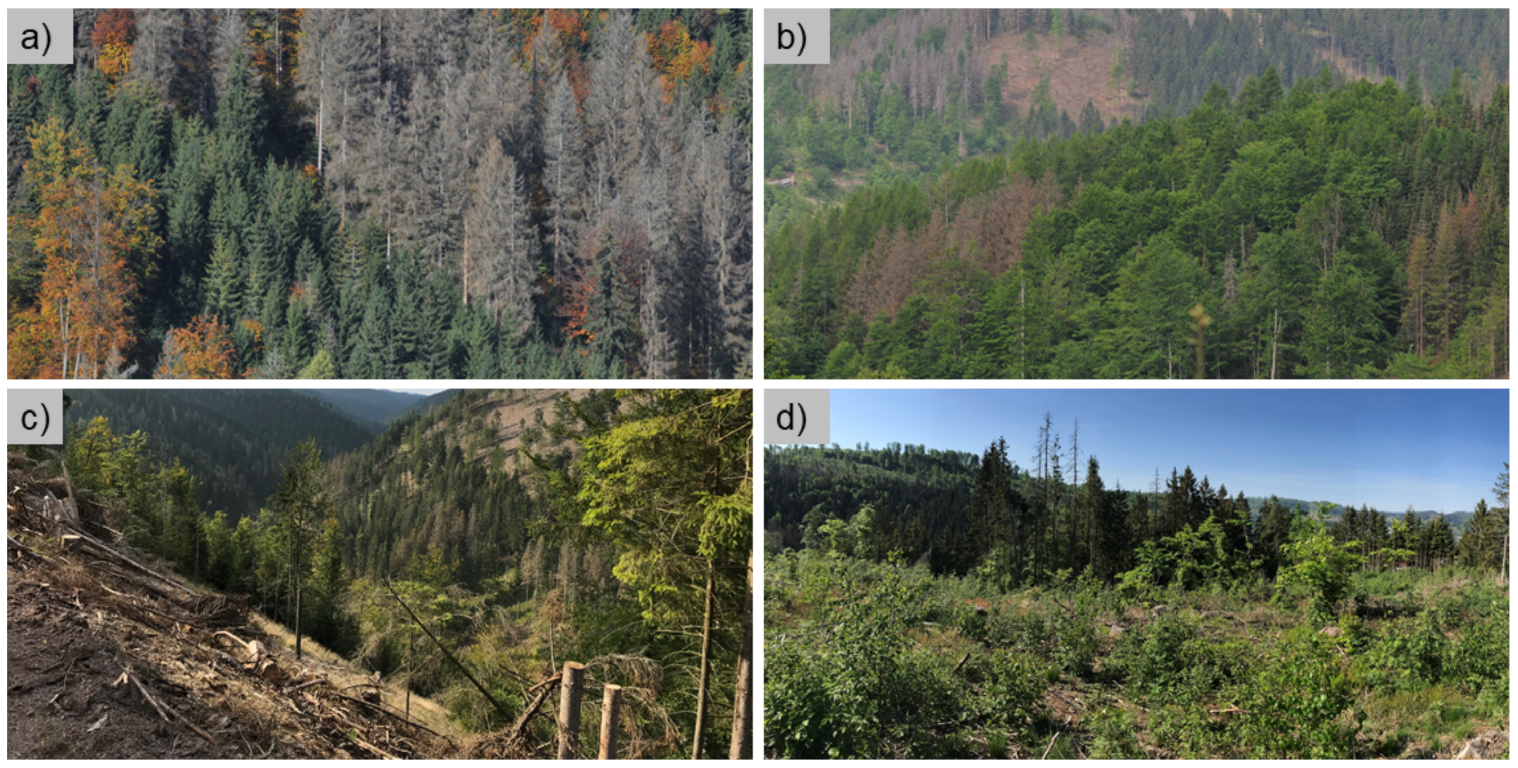 Remotesensing 15 01969 g002