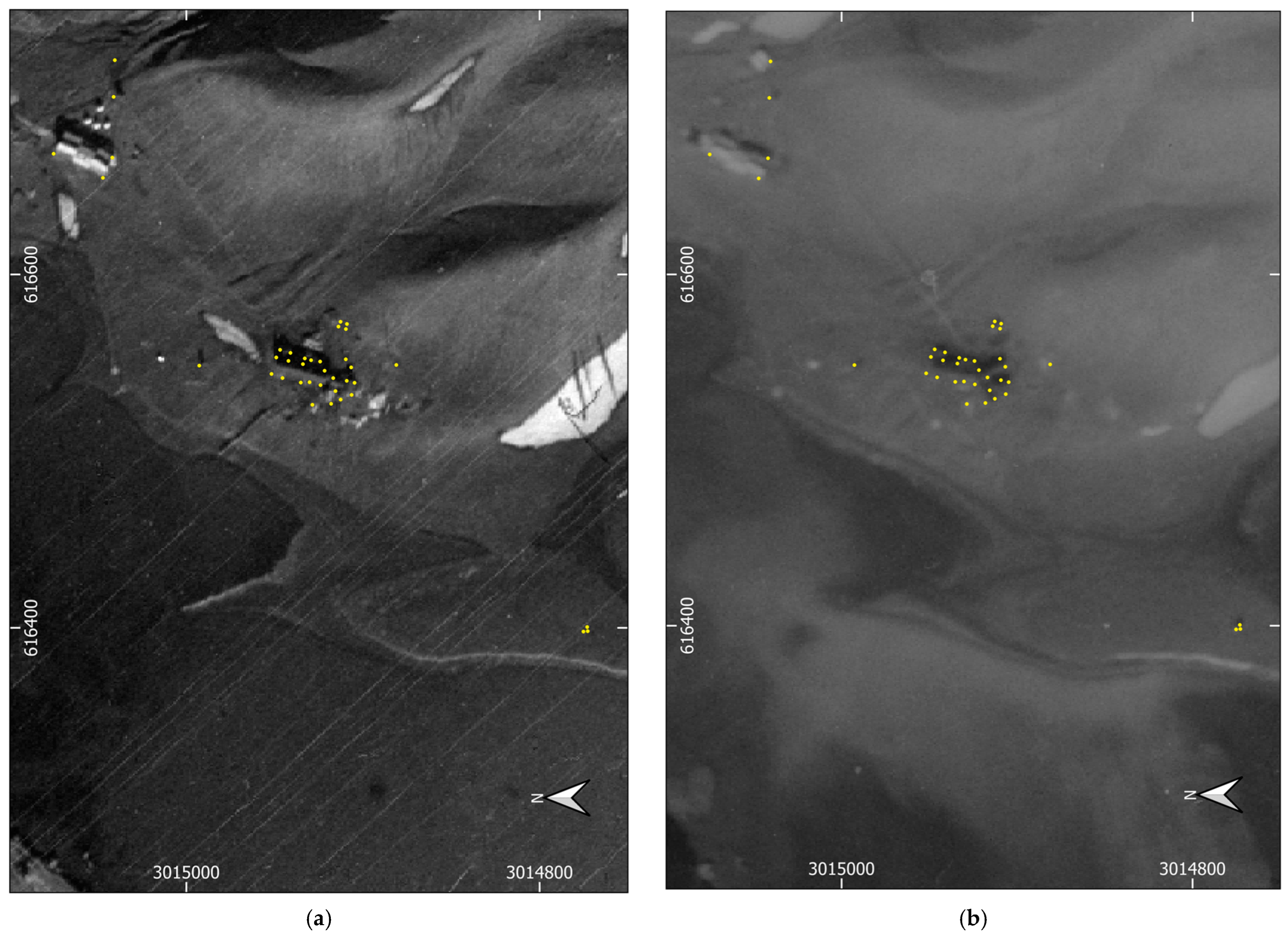 Remotesensing 15 02052 g006