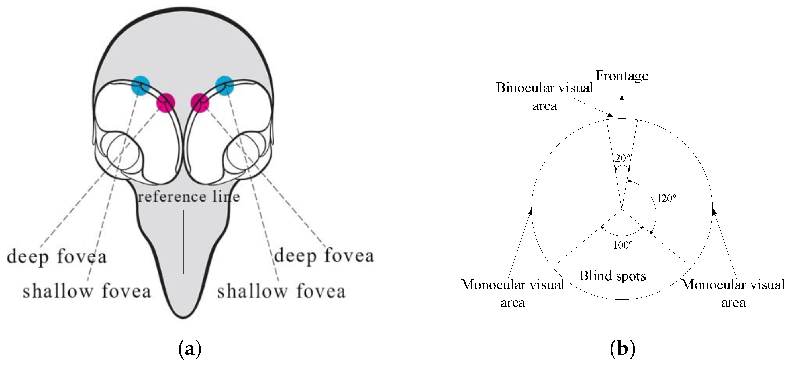 Remotesensing 15 02106 g001