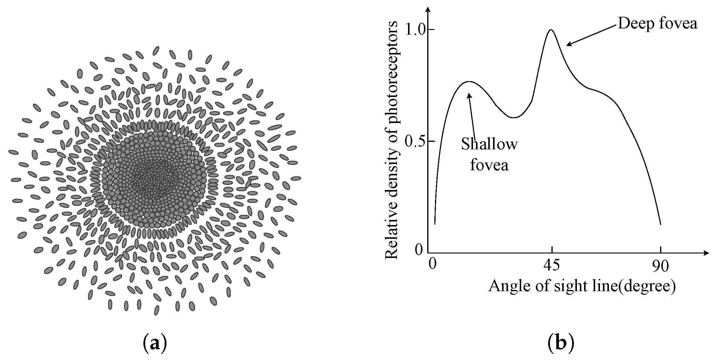 Remotesensing 15 02106 g002