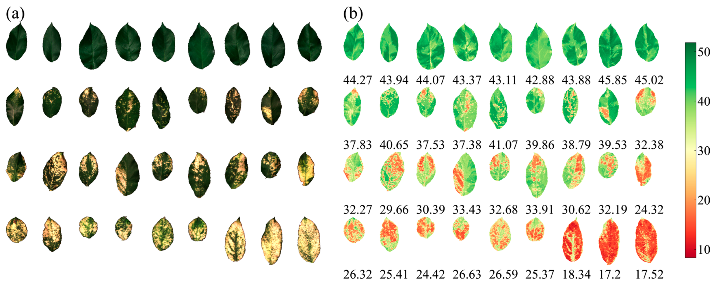 Remotesensing 15 02202 g007