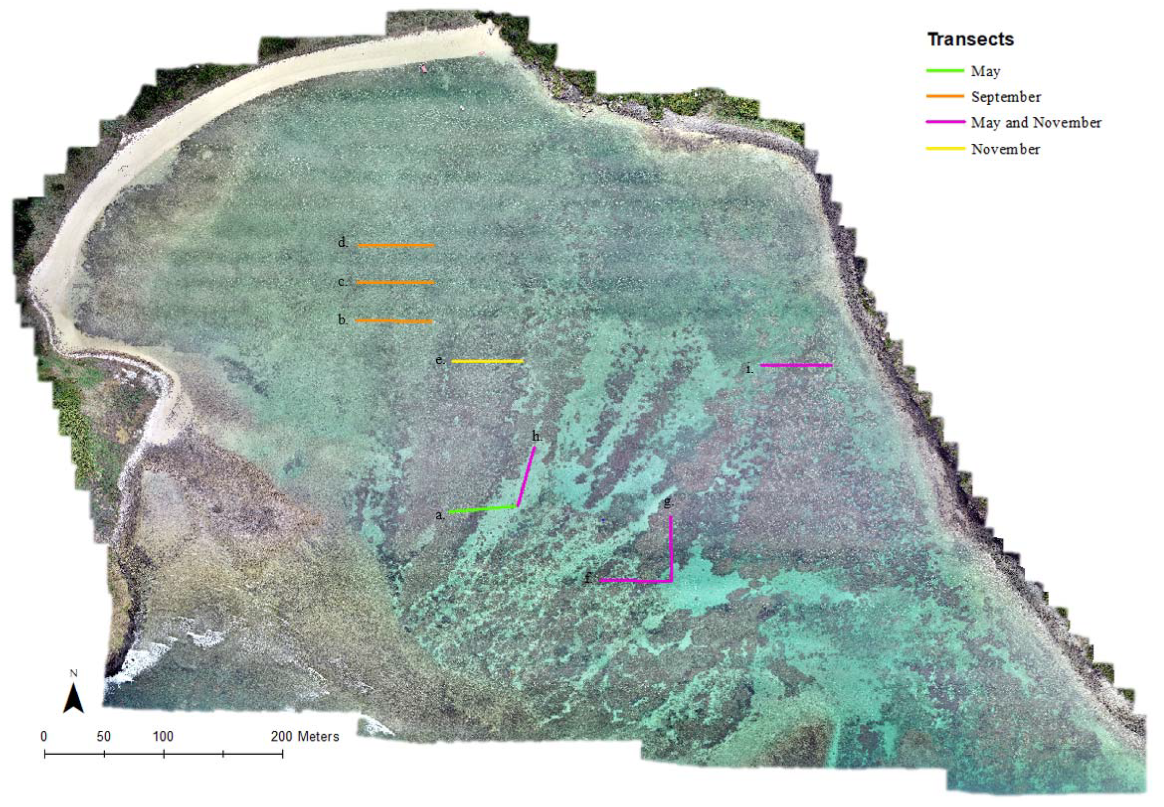 Remotesensing 15 02238 g002 Remotesensing 15 02238 g002