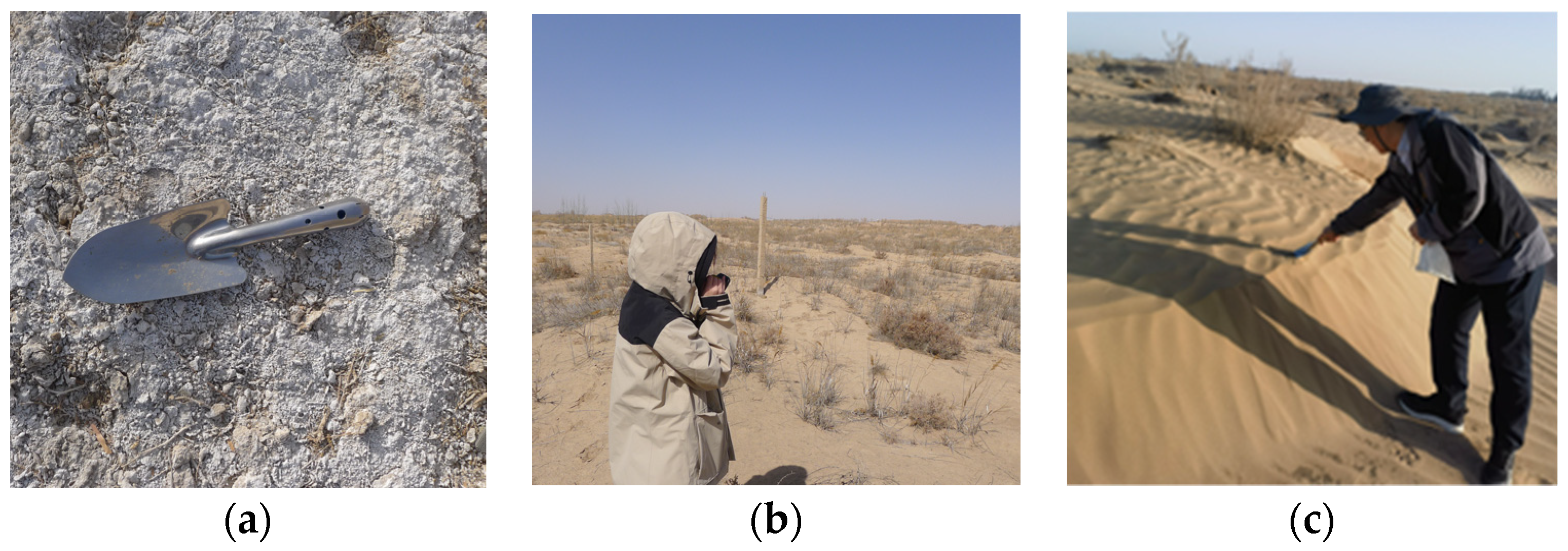 Remotesensing 15 02556 g012