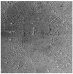 Remotesensing 15 02599 i001