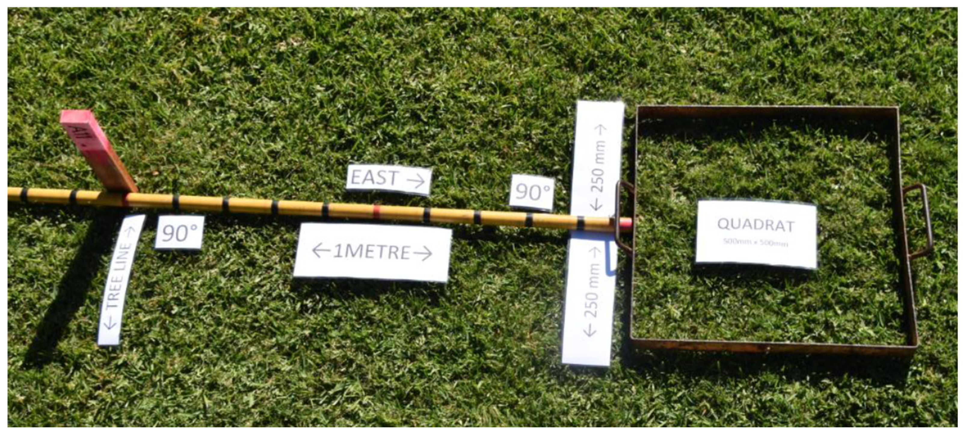 Remotesensing 15 02621 g002 Remotesensing 15 02621 g002