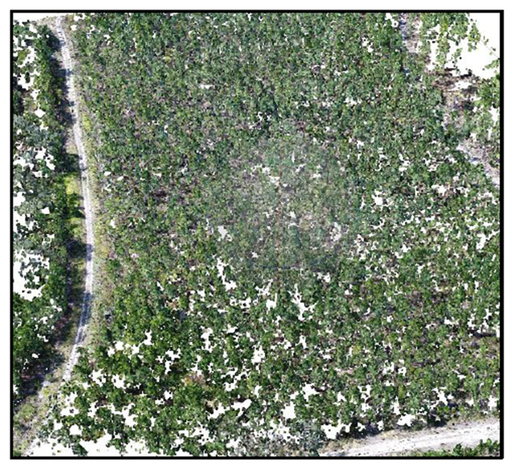 Remotesensing 15 02621 g007 Remotesensing 15 02621 g007