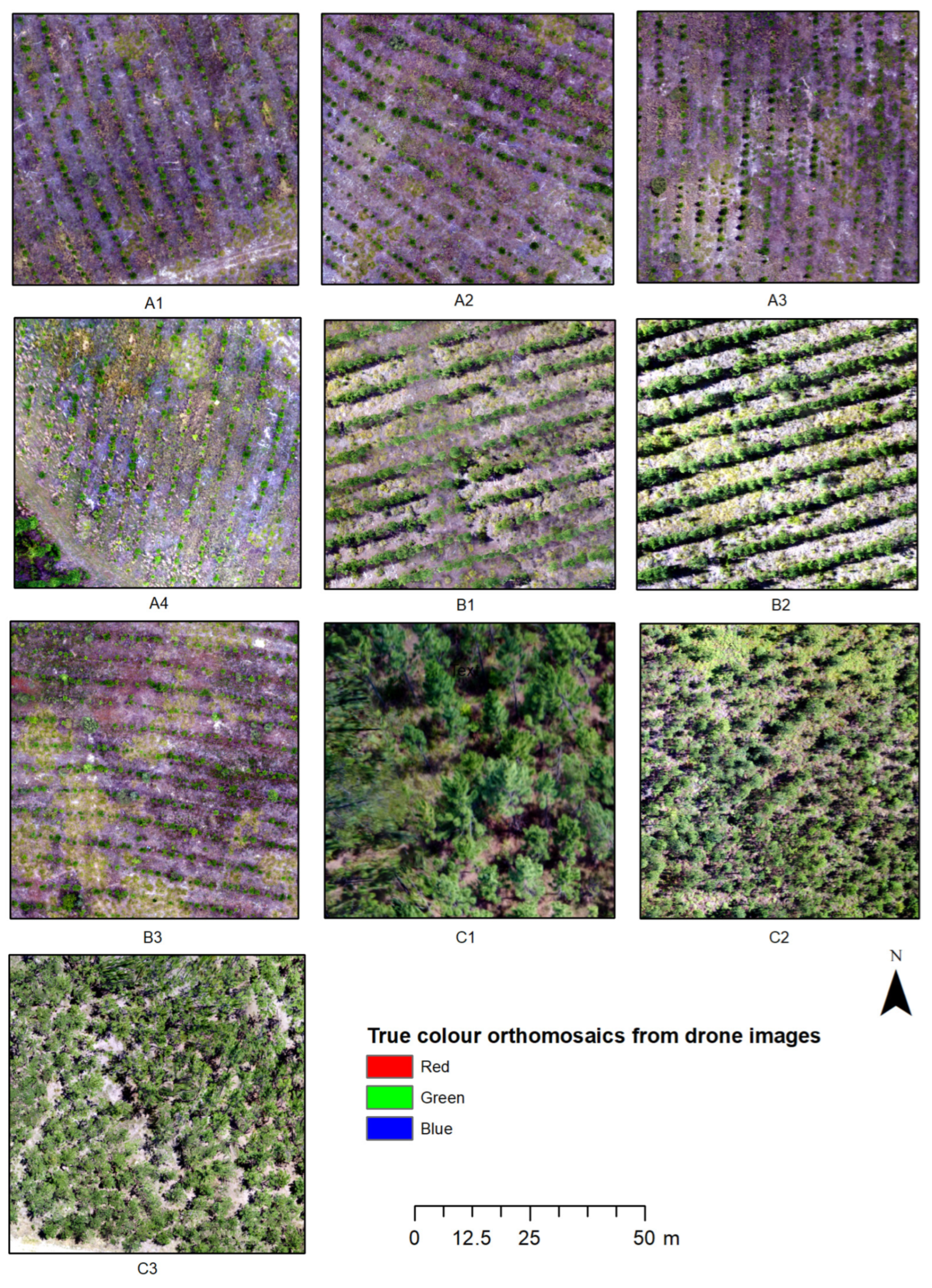 Remotesensing 15 02621 g008 Remotesensing 15 02621 g008