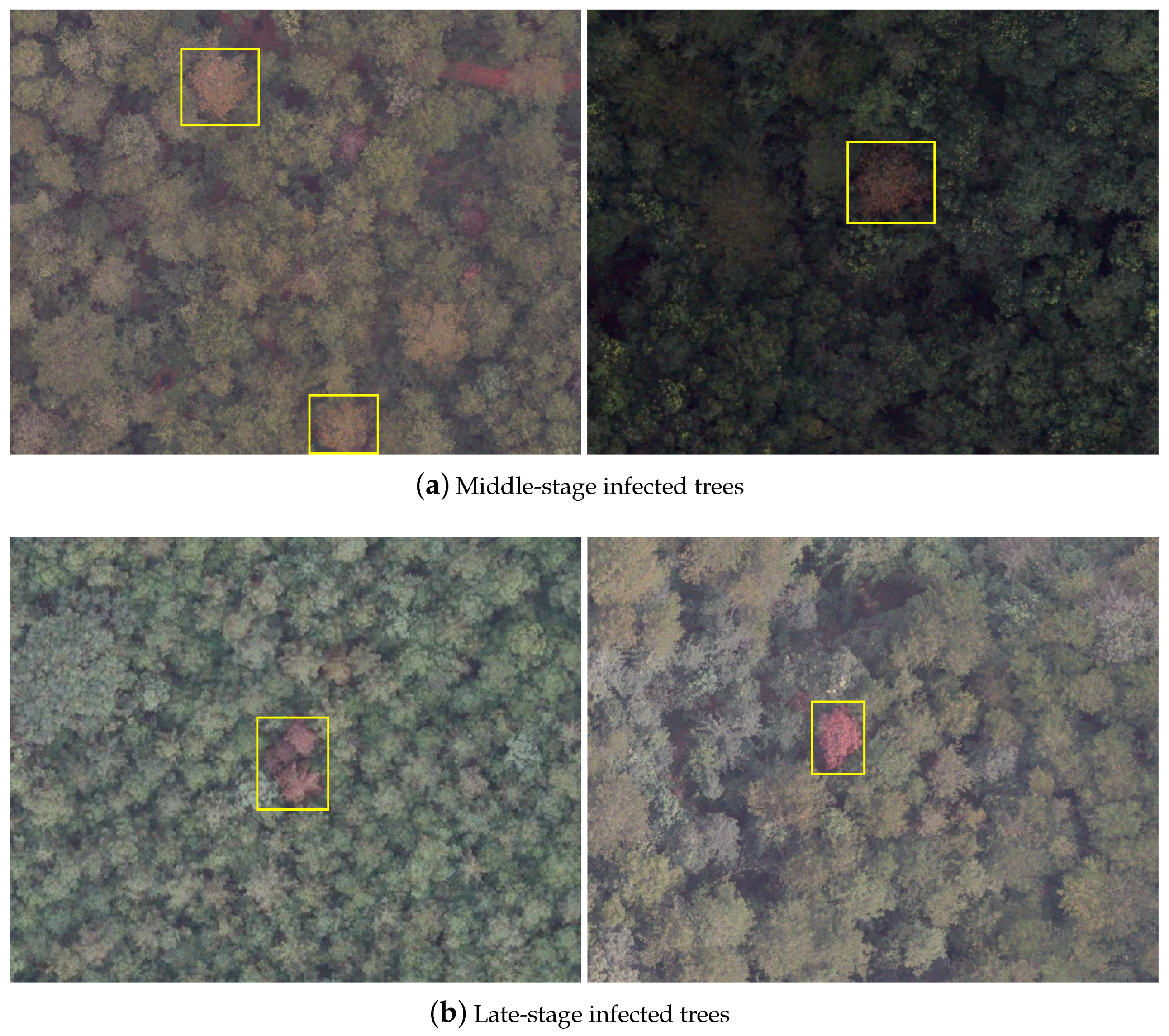 Remotesensing 15 02671 g003 Remotesensing 15 02671 g003