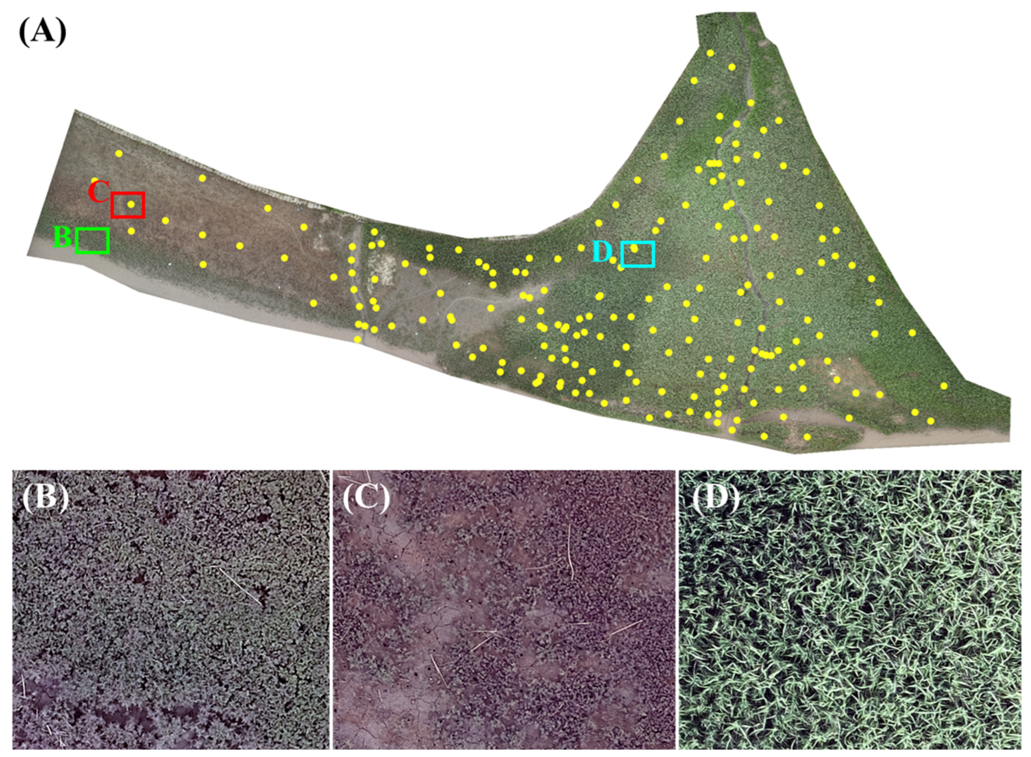 Remotesensing 15 02723 g002