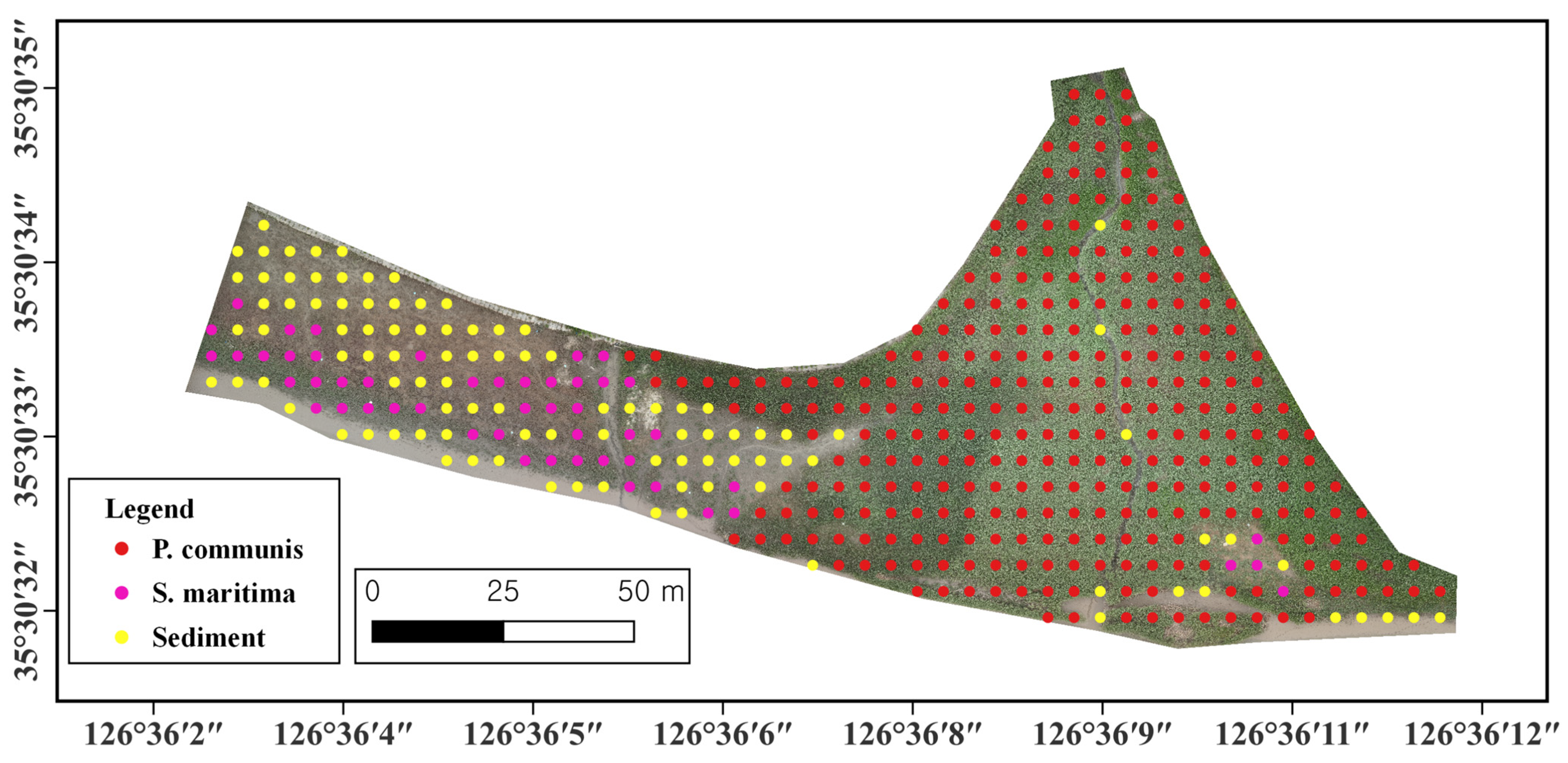 Remotesensing 15 02723 g005