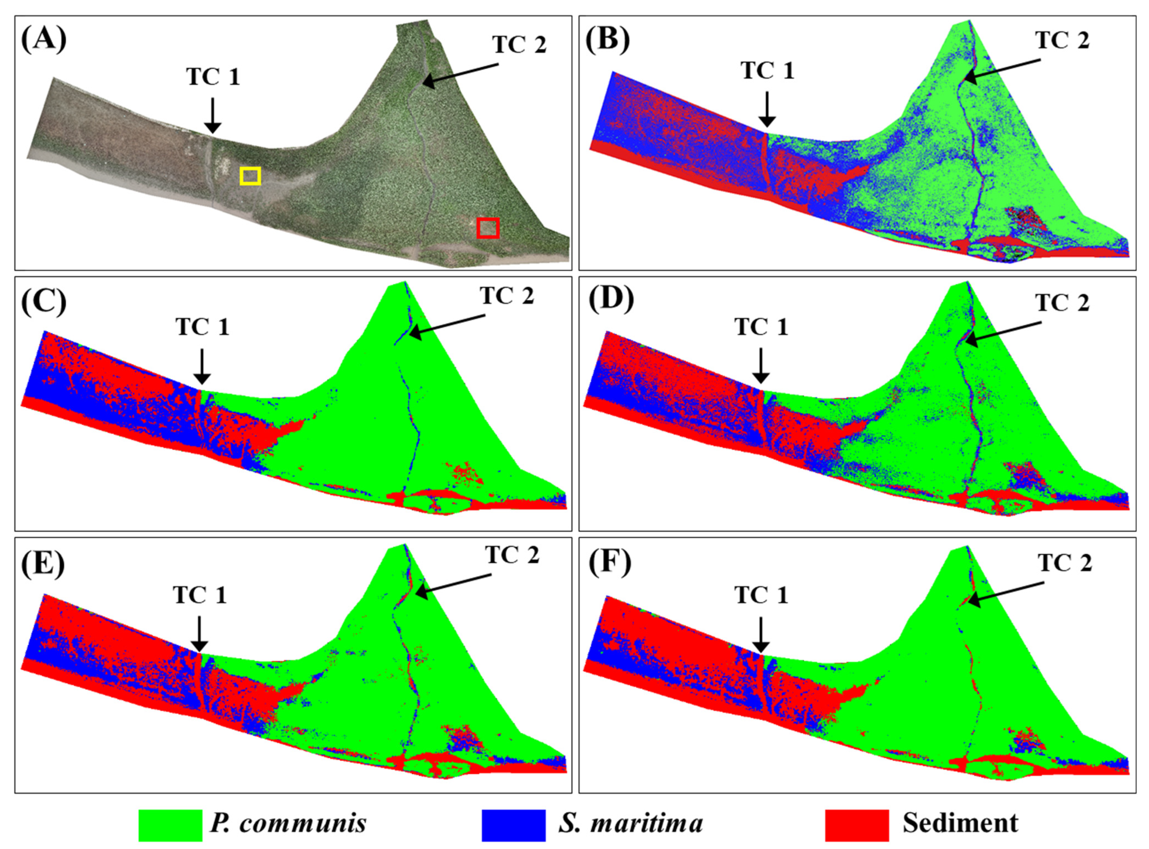 Remotesensing 15 02723 g006
