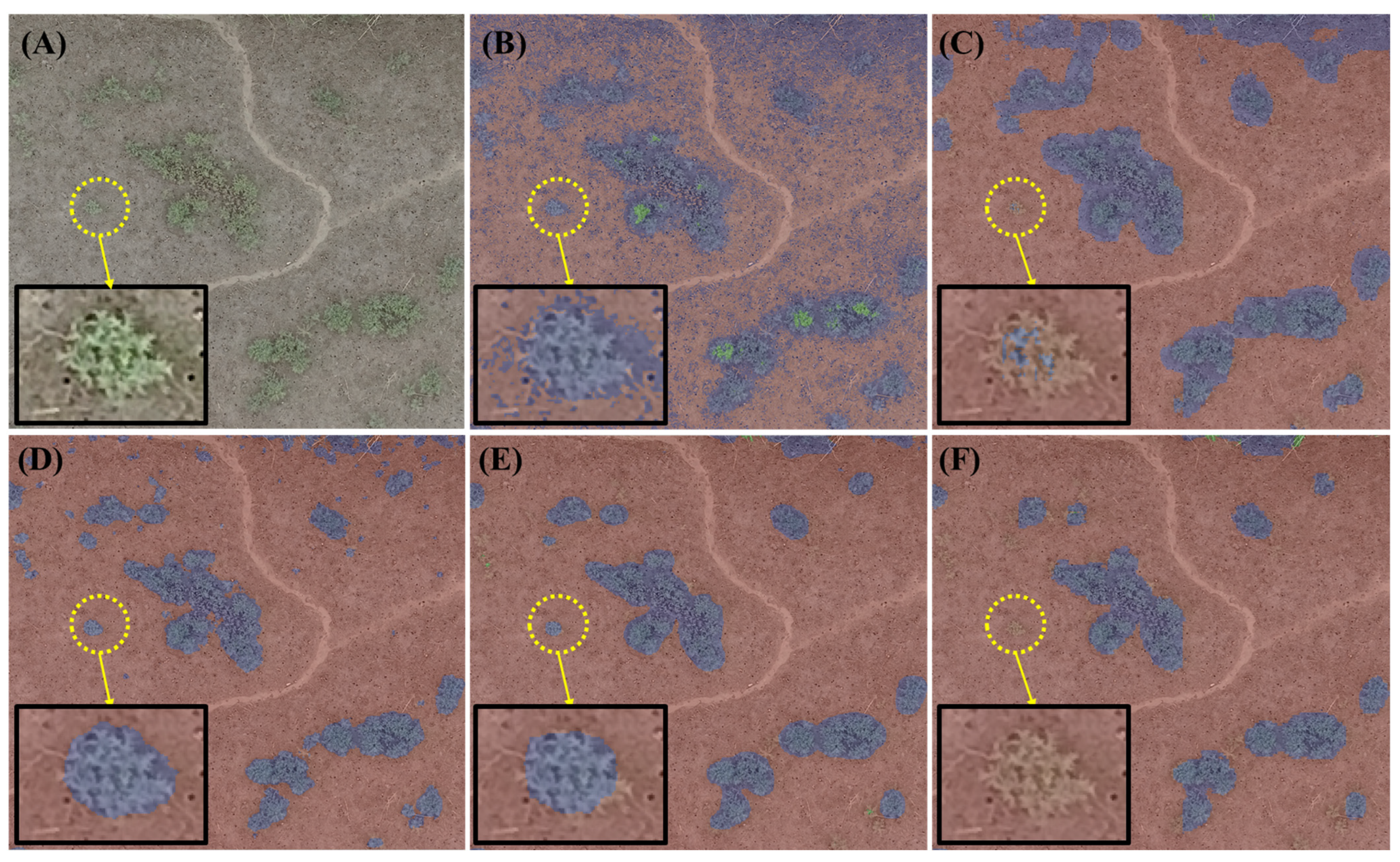 Remotesensing 15 02723 g009