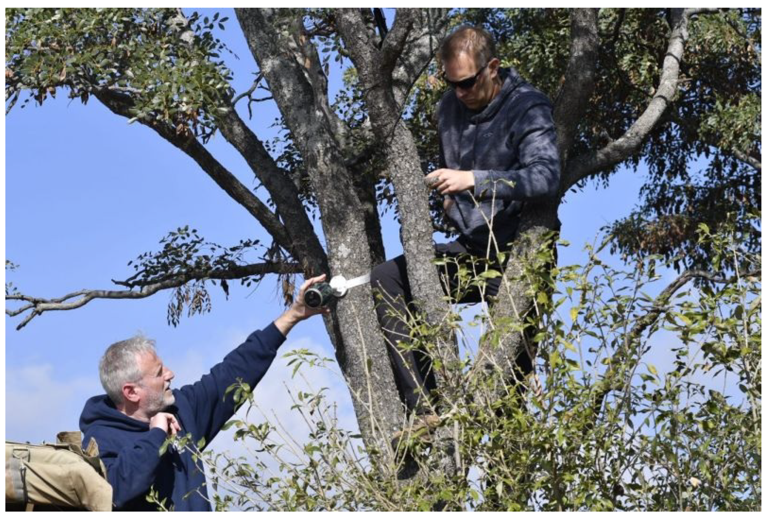 Remotesensing 15 02730 g004