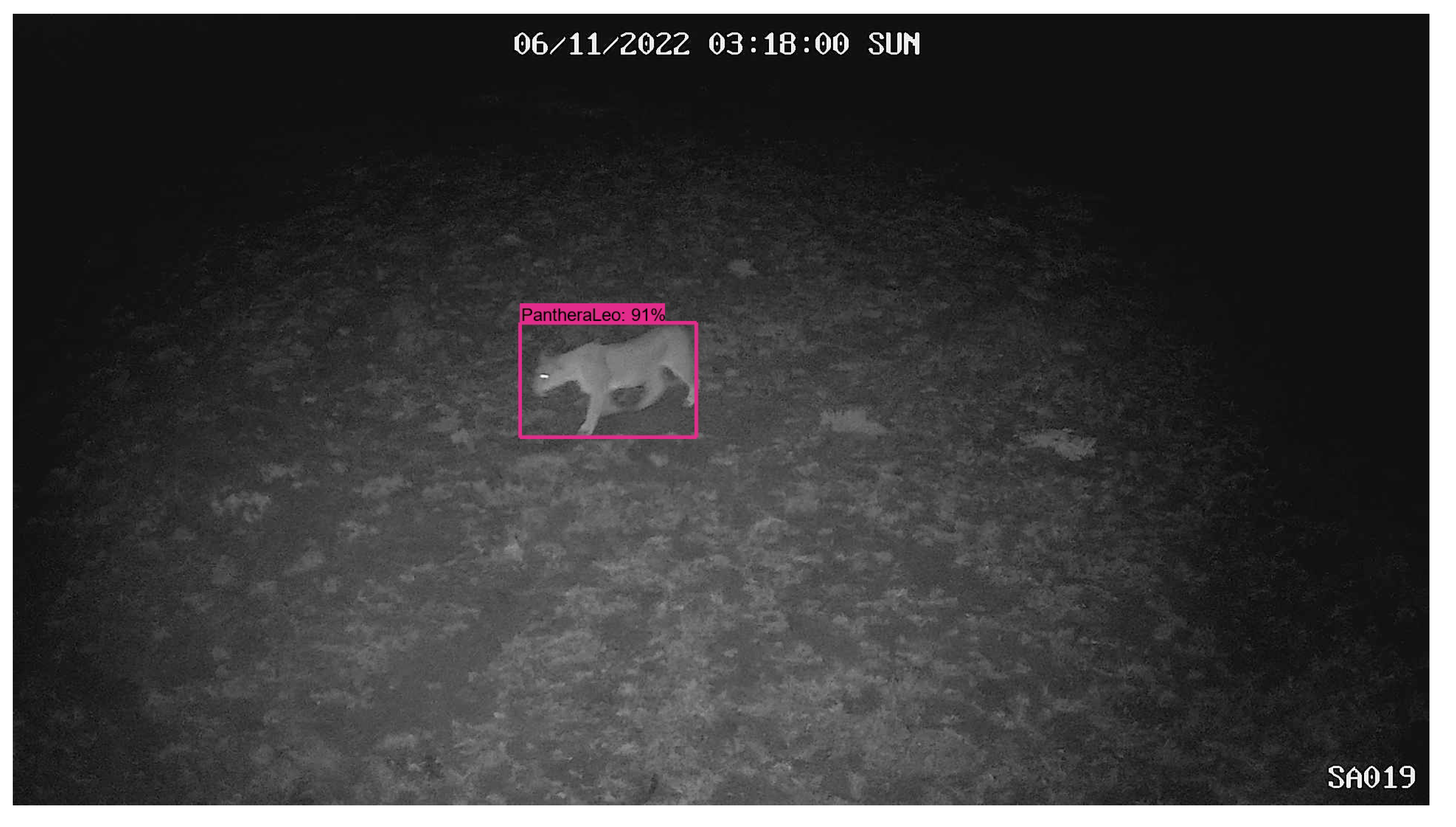 Remotesensing 15 02730 g013