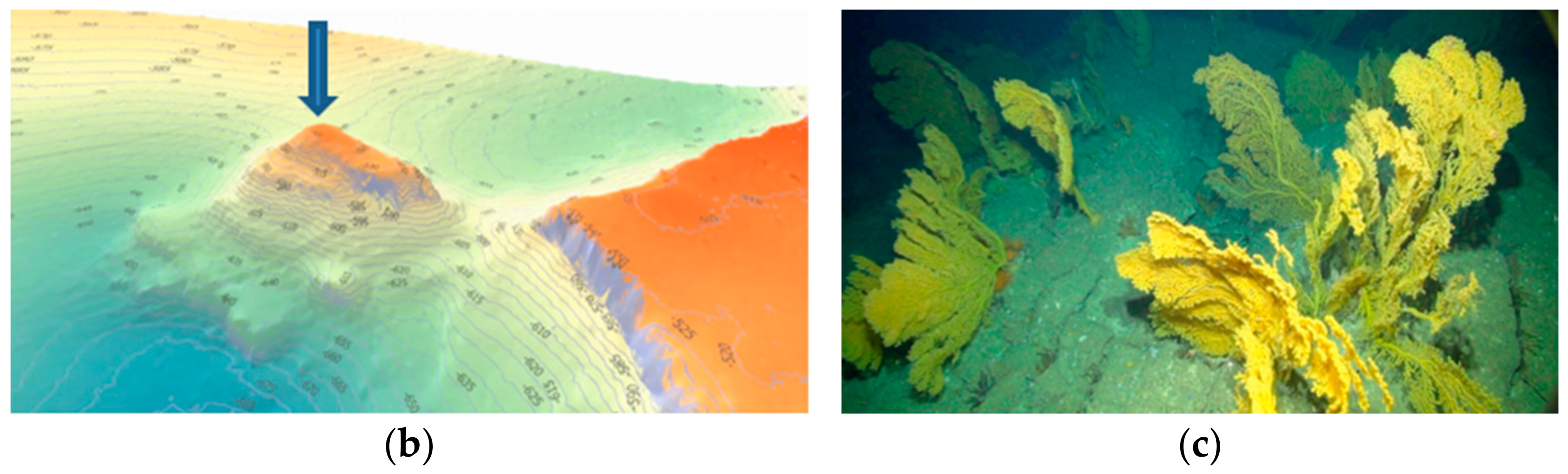 Remotesensing 15 02777 g001b