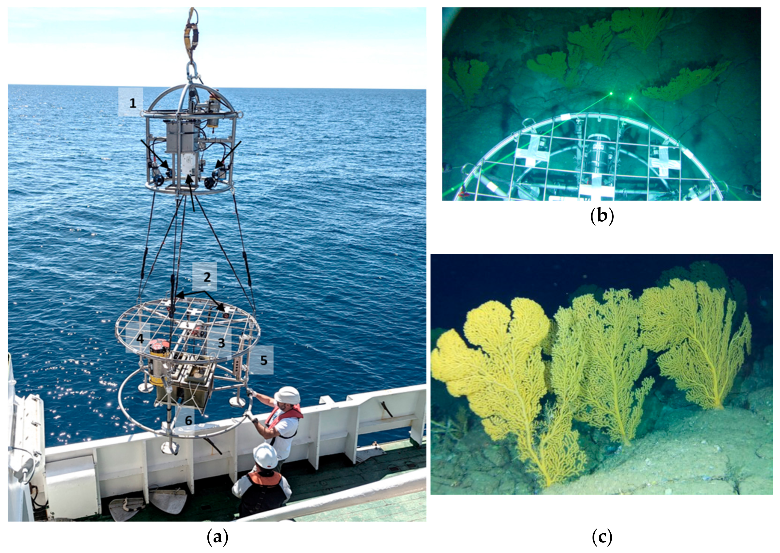 Remotesensing 15 02777 g002