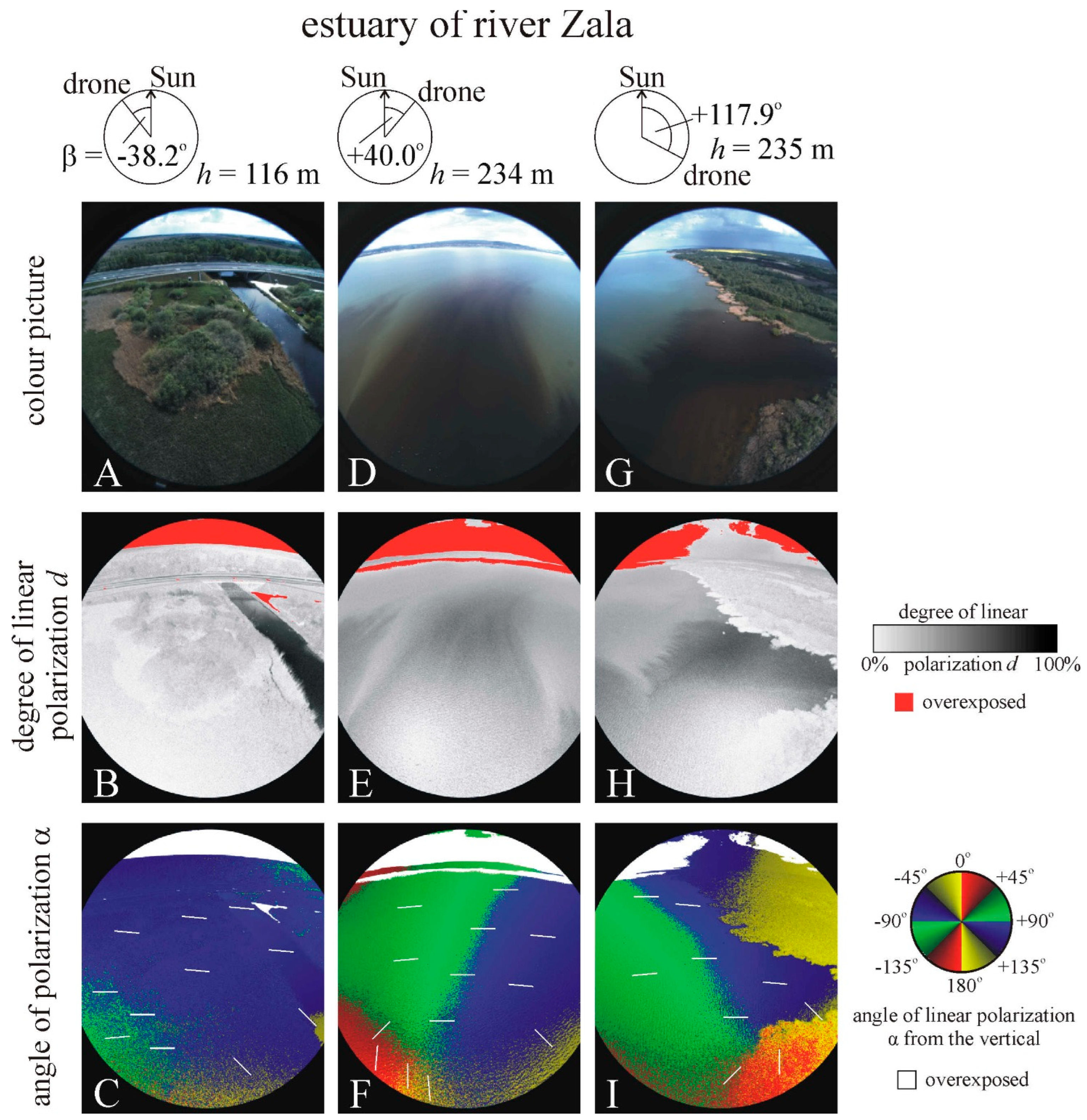Remotesensing 15 02797 g007