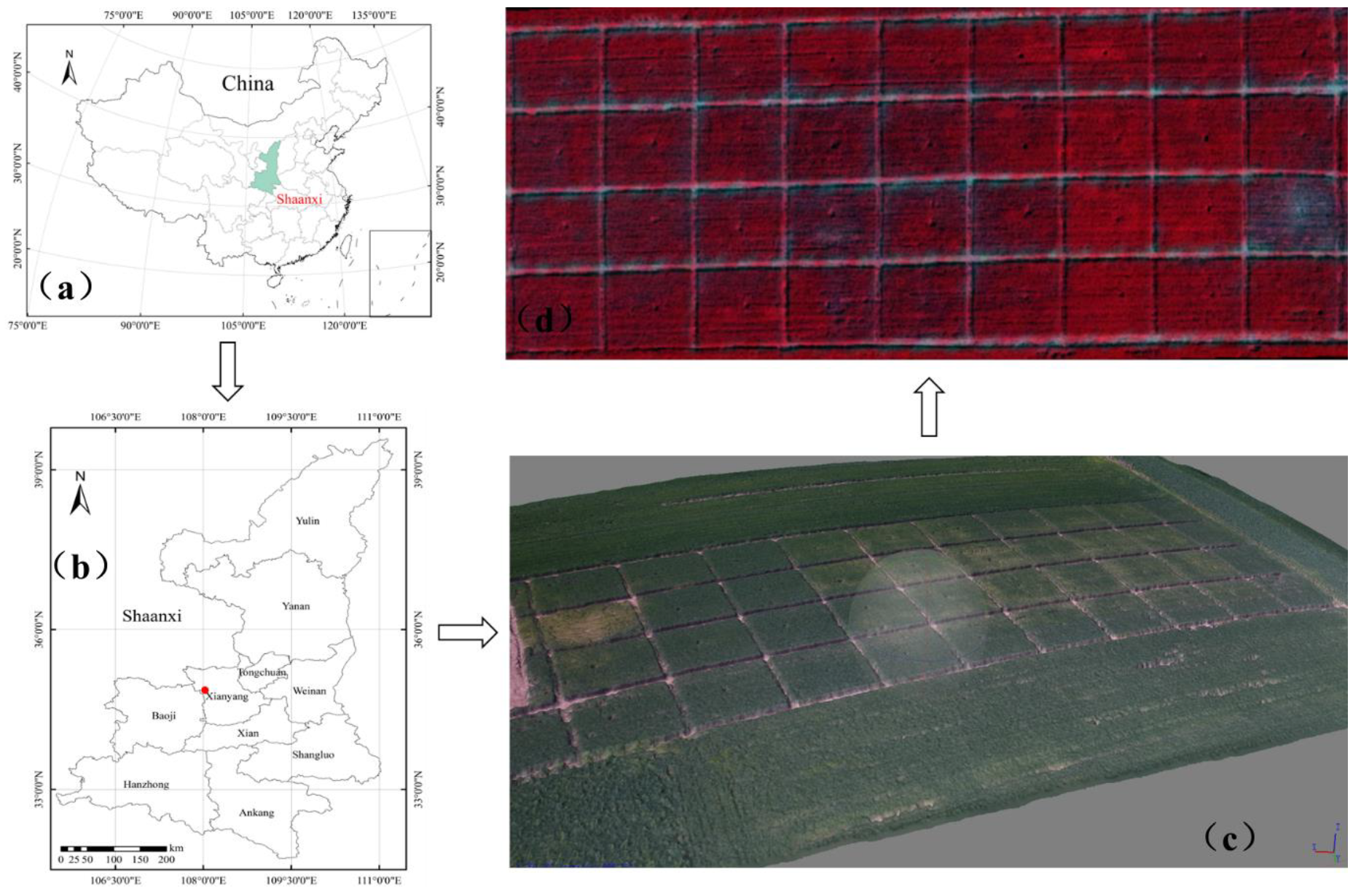 Remotesensing 15 02831 g001