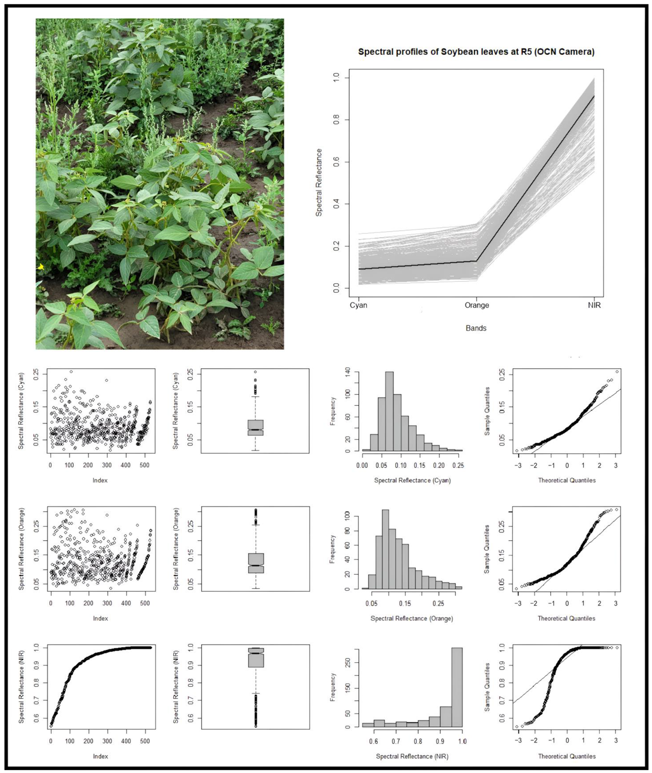 Remotesensing 15 02888 g004