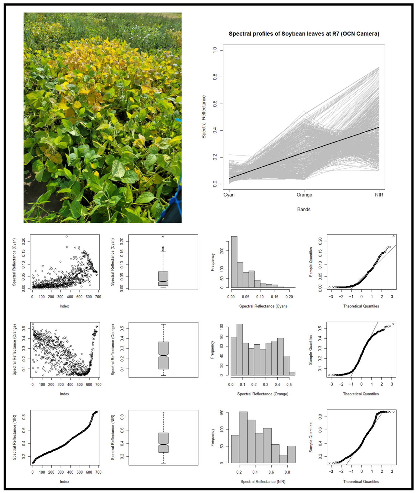 Remotesensing 15 02888 g006