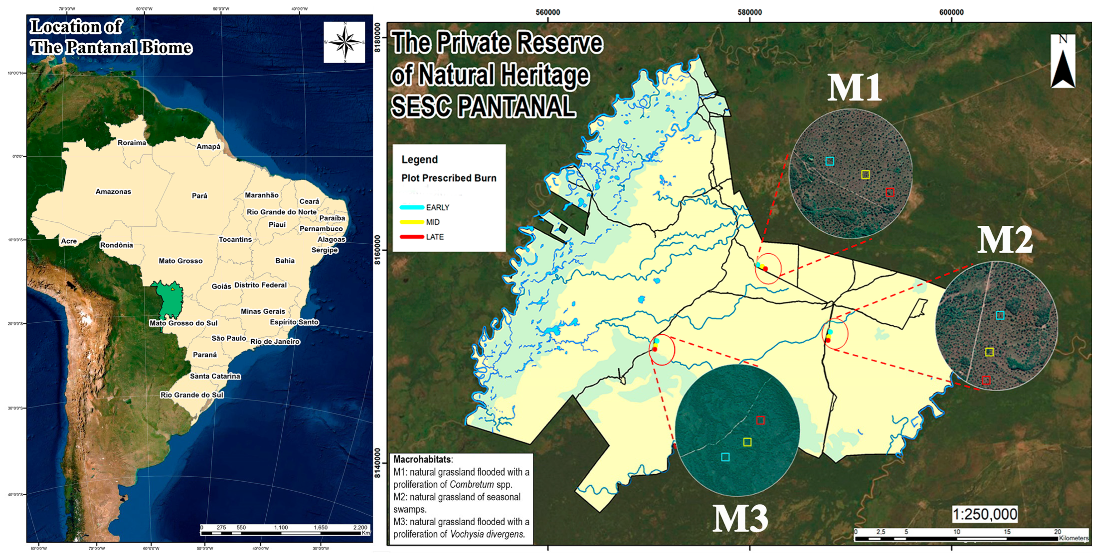 Remotesensing 15 02934 g001