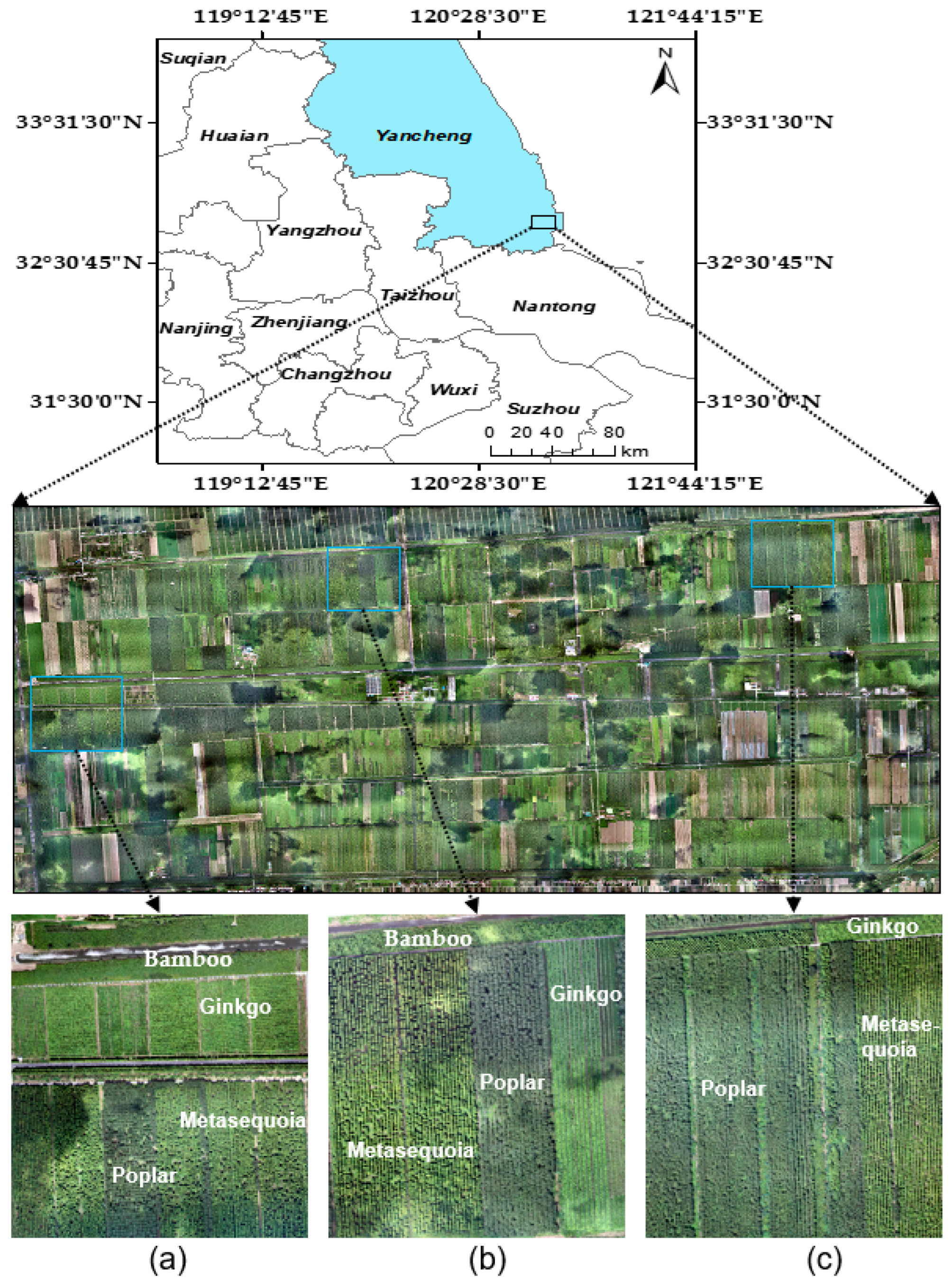 Remotesensing 15 02942 g001 Remotesensing 15 02942 g001