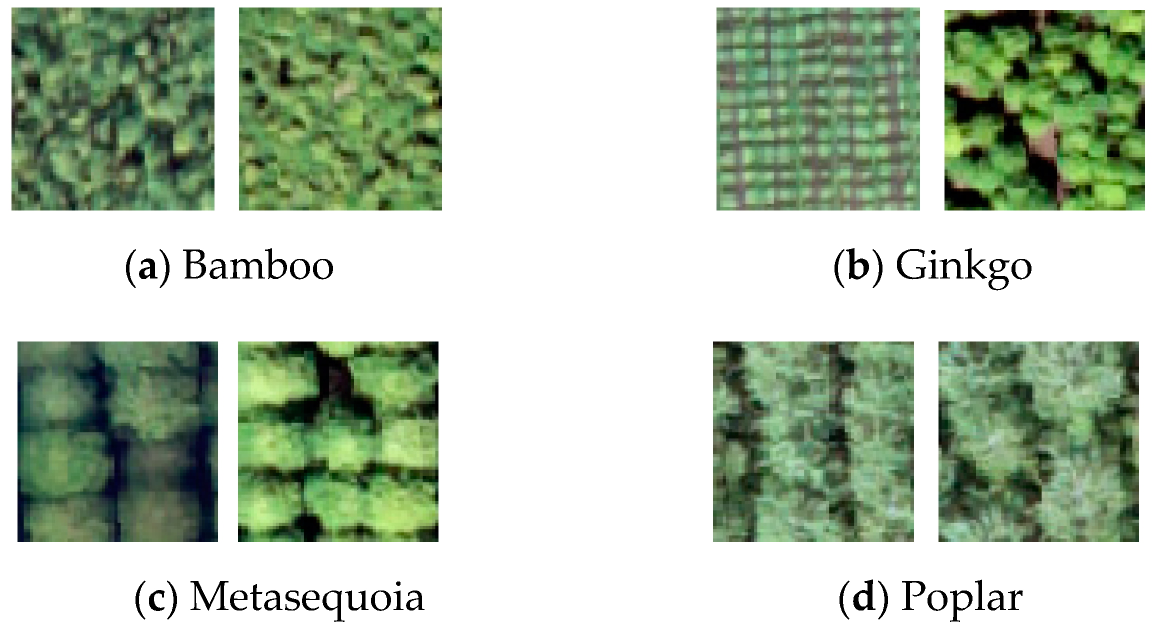 Remotesensing 15 02942 g002 Remotesensing 15 02942 g002