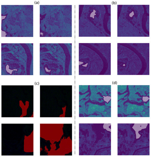 Remotesensing 15 03009 g010