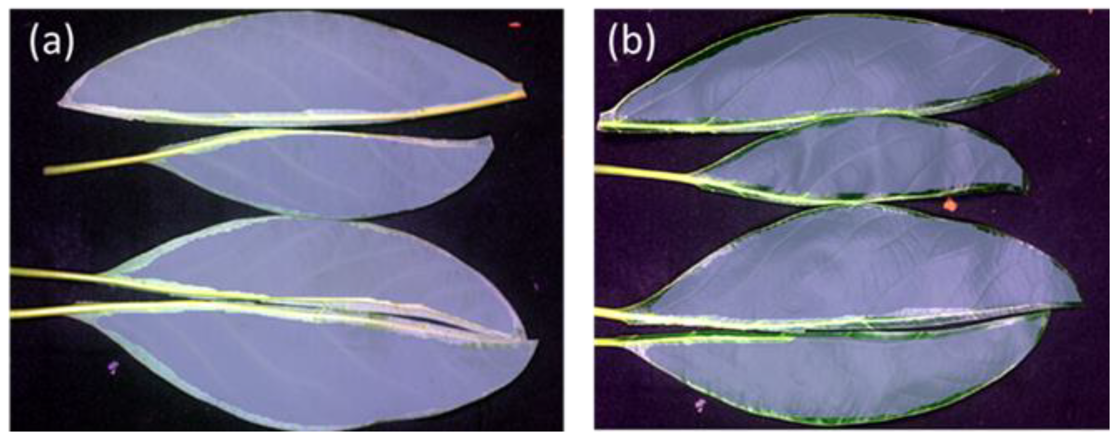 Remotesensing 15 03100 g001