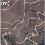 Remotesensing 15 03111 i013 Remotesensing 15 03111 i013