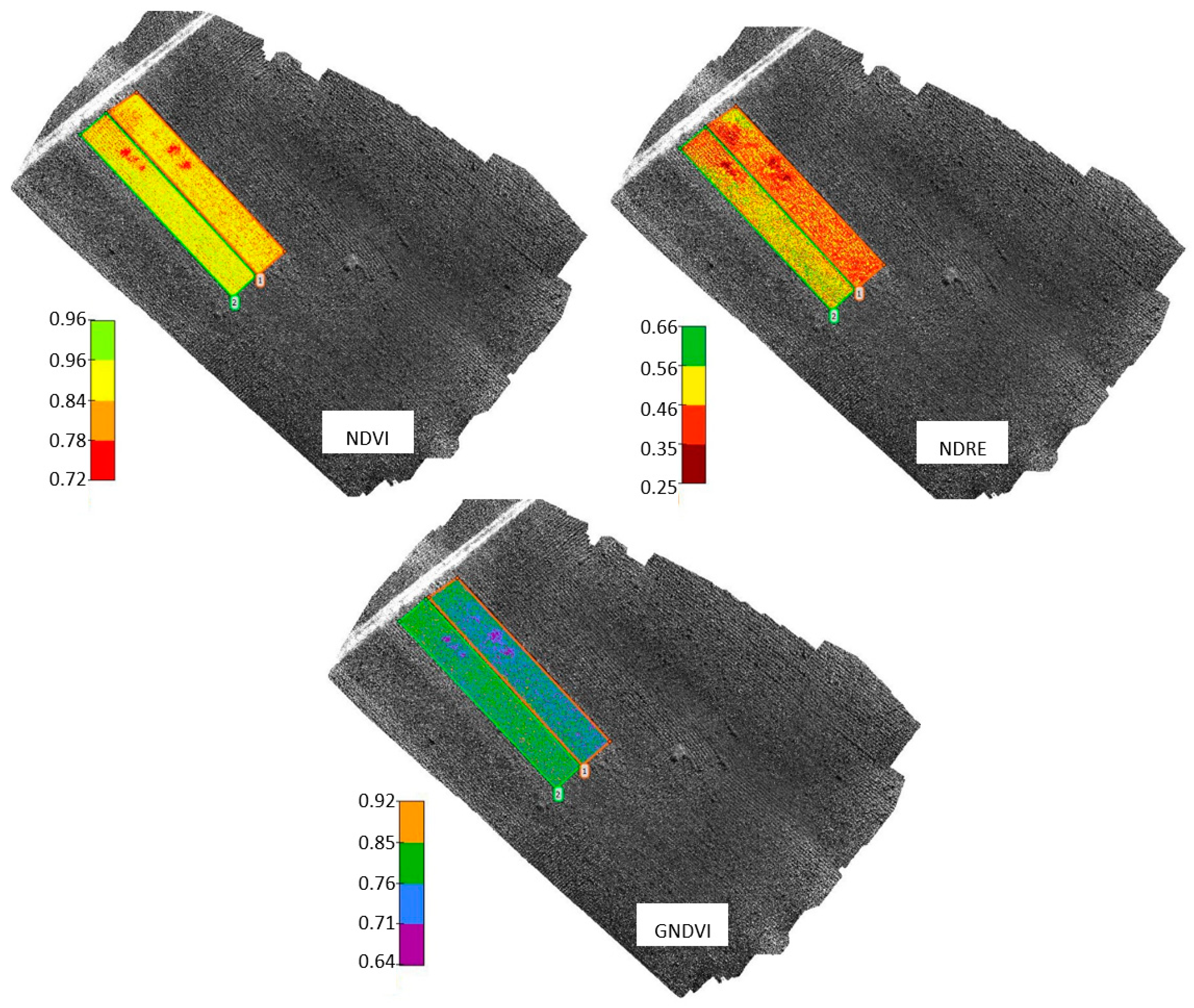 Remotesensing 15 03152 g006