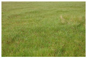 Remotesensing 15 03174 i001 Remotesensing 15 03174 i001