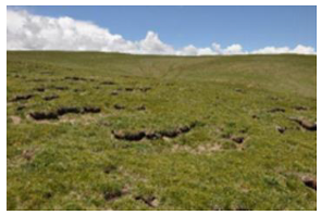 Remotesensing 15 03174 i002 Remotesensing 15 03174 i002