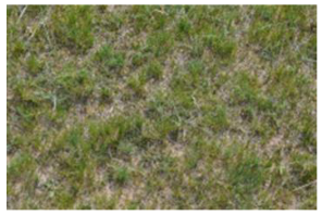 Remotesensing 15 03174 i004 Remotesensing 15 03174 i004