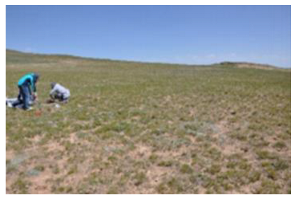 Remotesensing 15 03174 i005 Remotesensing 15 03174 i005