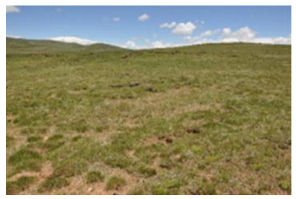 Remotesensing 15 03174 i006 Remotesensing 15 03174 i006