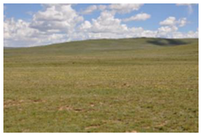 Remotesensing 15 03174 i007 Remotesensing 15 03174 i007