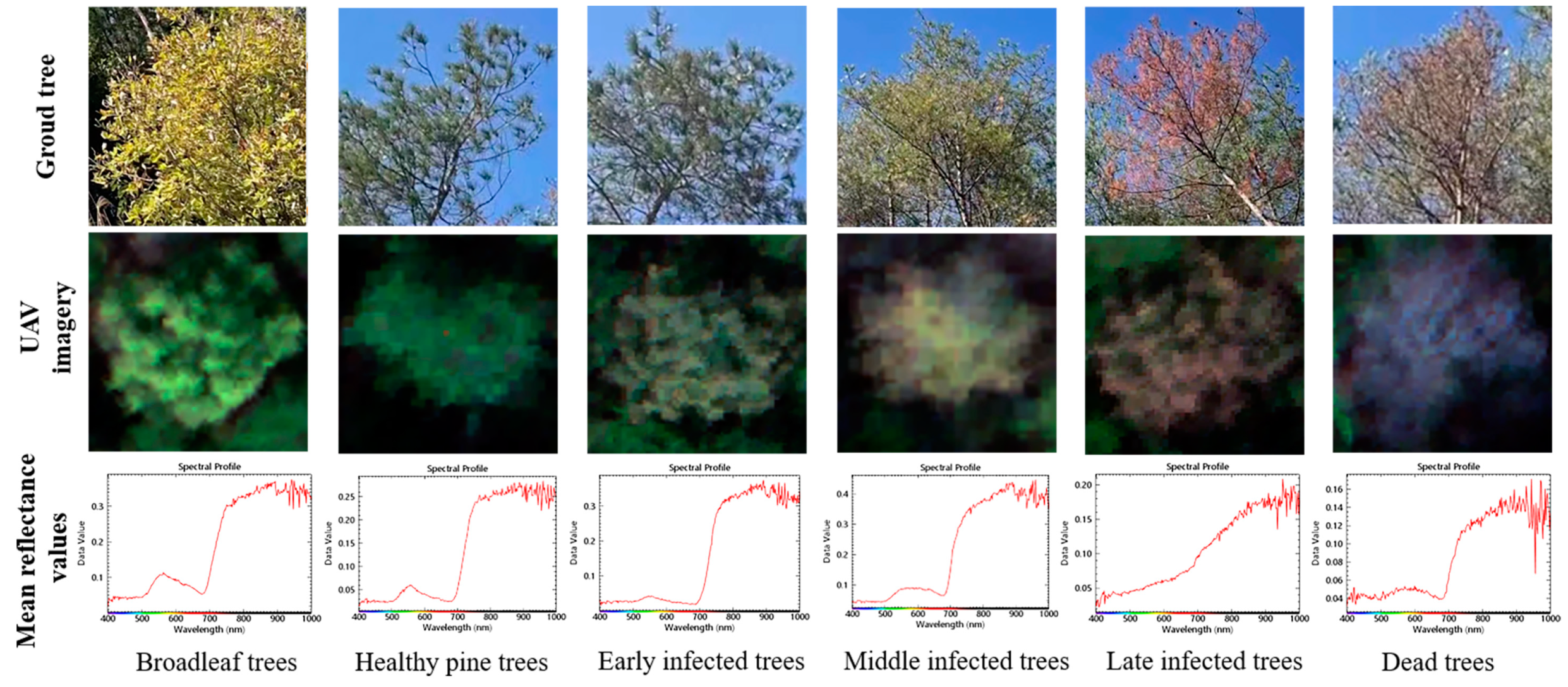 Remotesensing 15 03295 g002