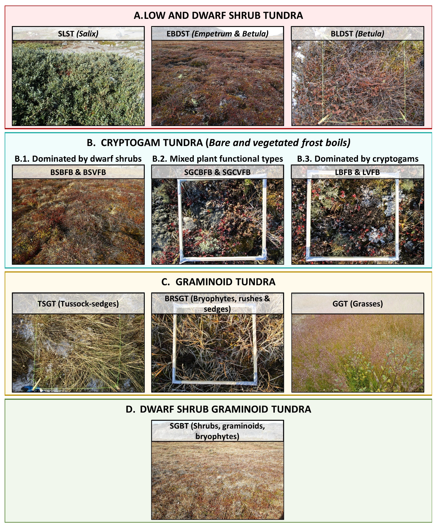 Remotesensing 15 03310 g006