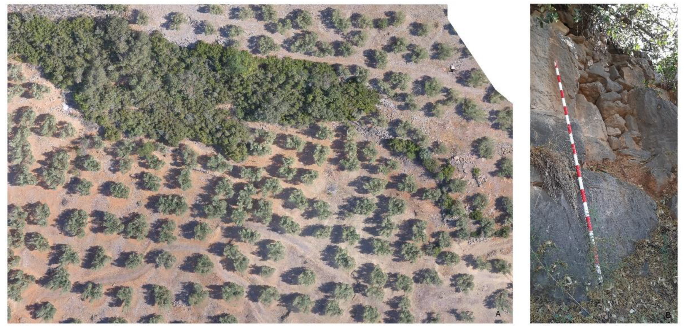 Remotesensing 15 03315 g002