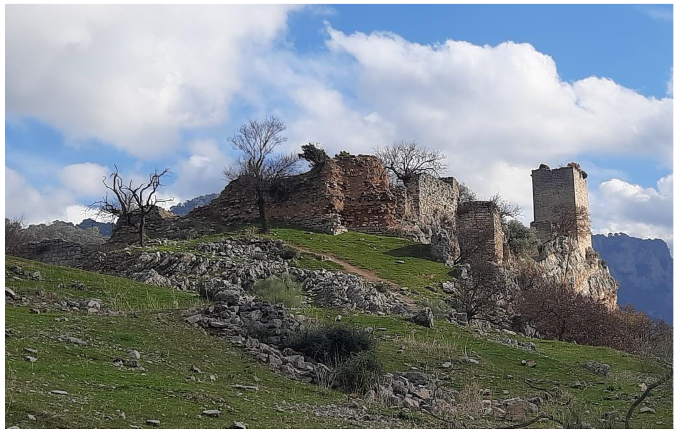 Remotesensing 15 03315 g003