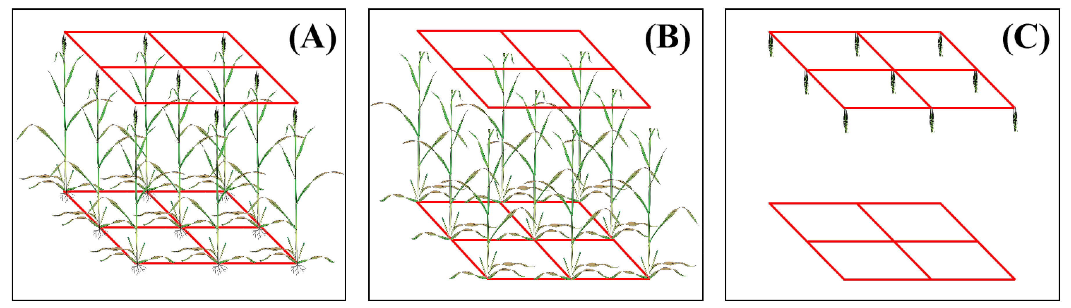 Remotesensing 15 03332 g004 Remotesensing 15 03332 g004